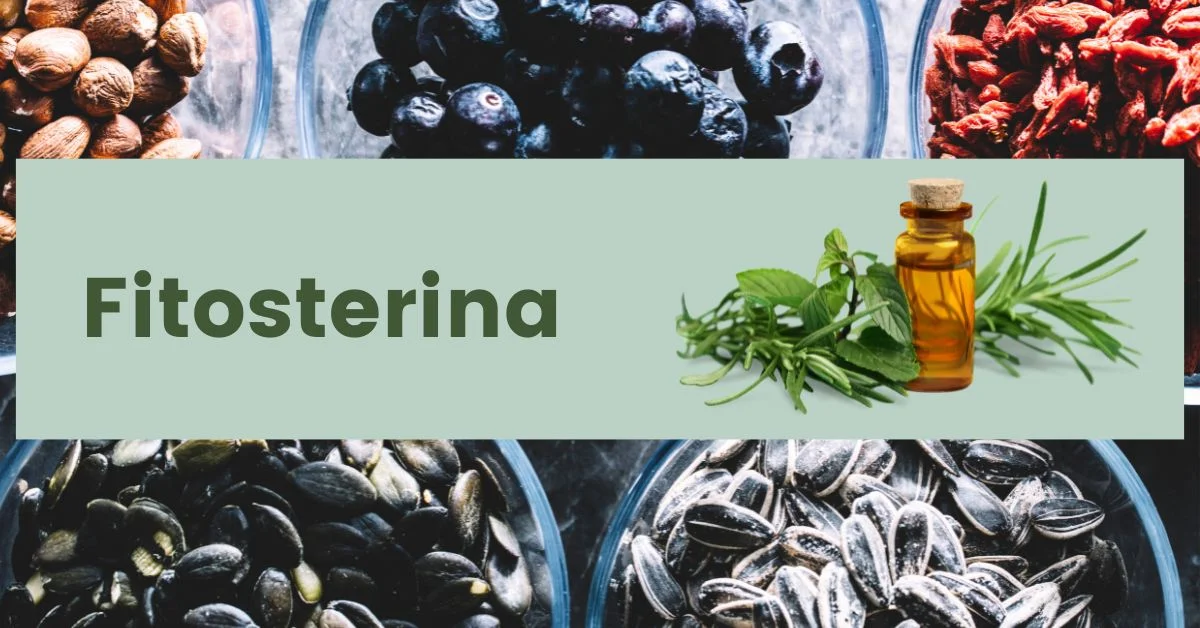 Fitosterina
