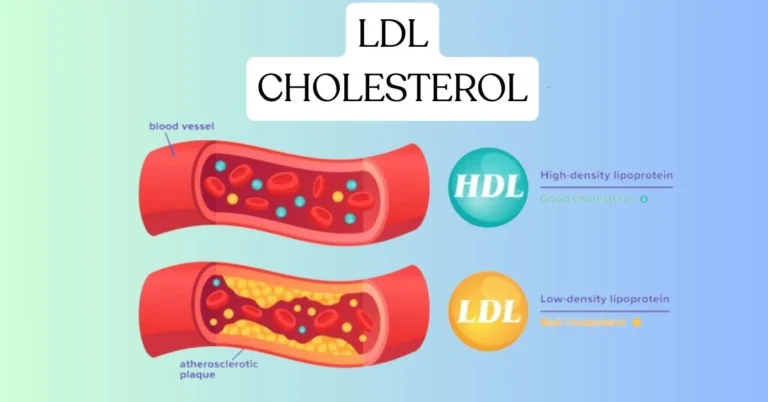 LDL Cholesterol