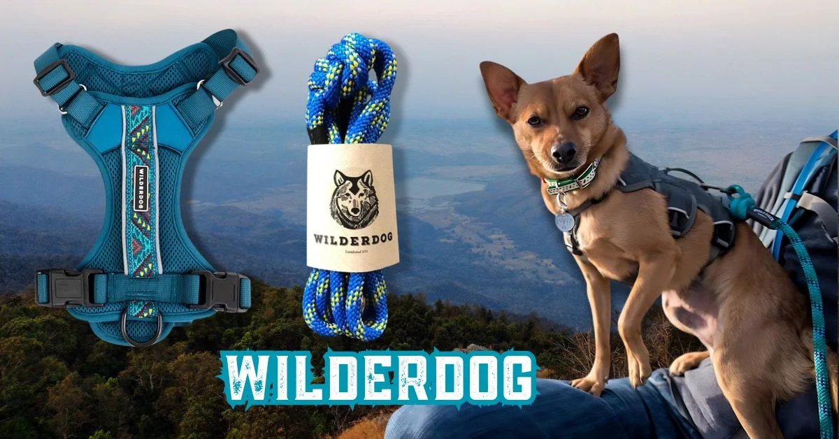 Wilderdog