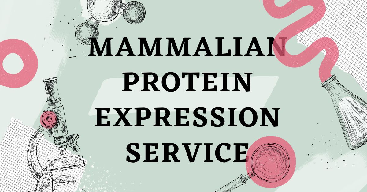 Mammalian Protein Expression Service